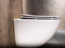 Подвесной унитаз CERAMICANOVA Mono Rimless CN1905